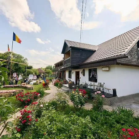 Dor De Radacini Country house Nemtisor